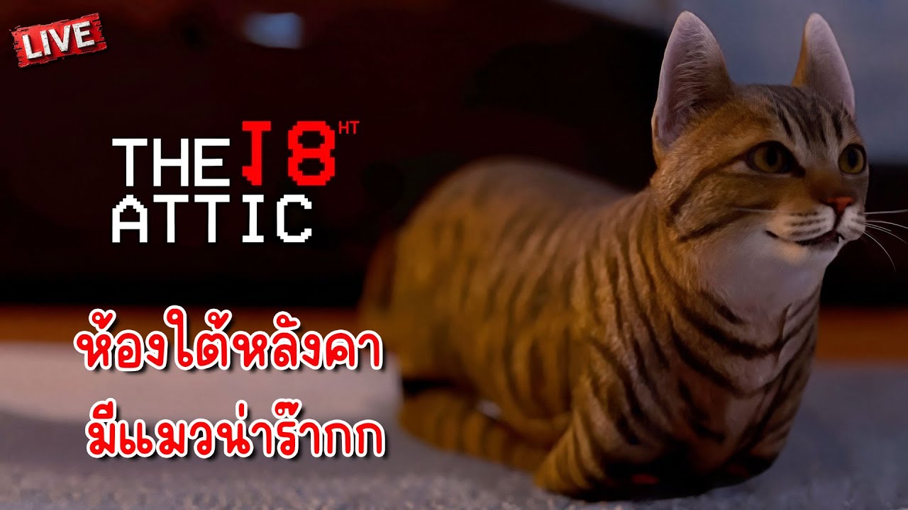 ห้องใต้หลังคา มีแมวน่าร๊ากกก | The 18th Attic [คืนวันศุกร์กระตุกจิต]