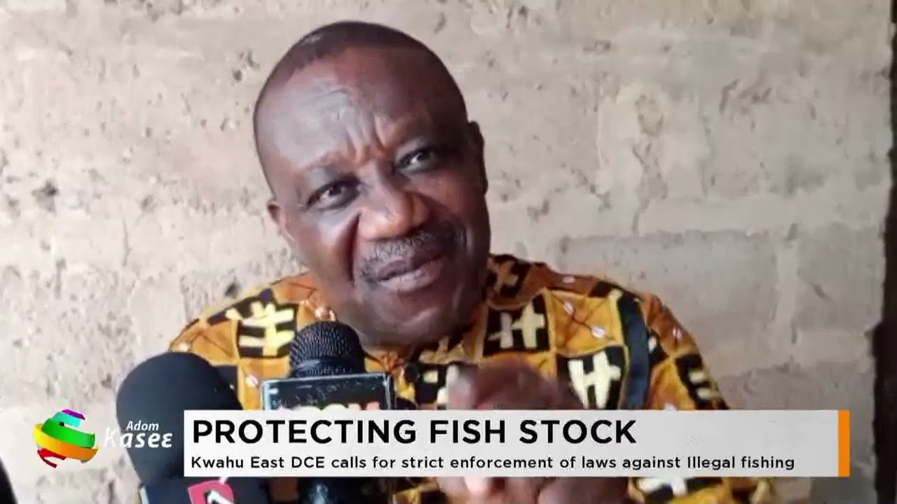 Protecting Fish Shock: Kwaku East DCE calls for strict enforcement of laws against illegal fishing