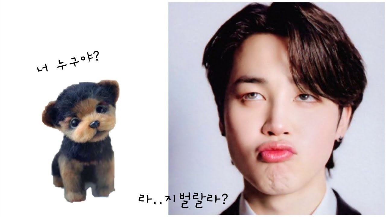 SUB) 지민의 부랑이와 치코리타는 잘 지내나요~?그리고 #ThisIsJimin