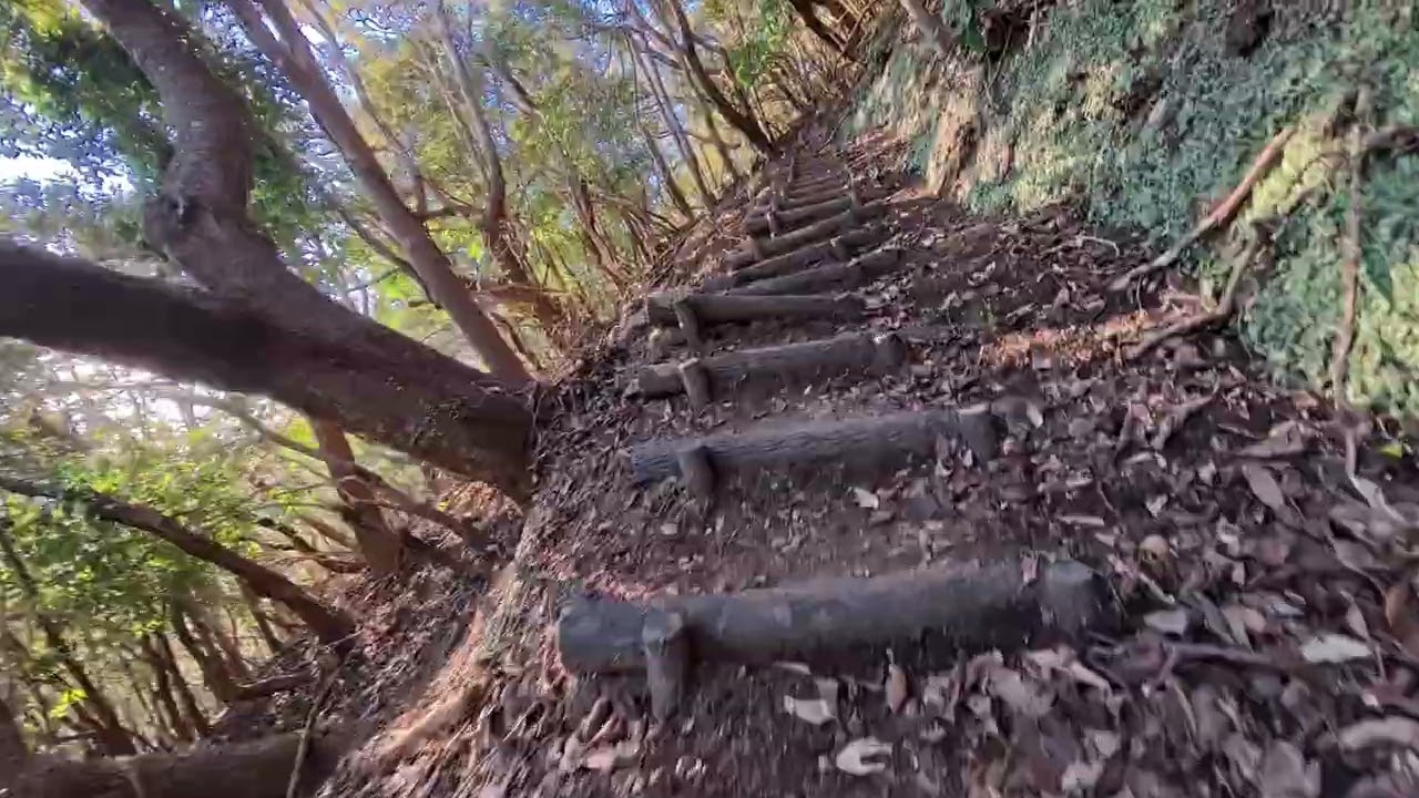 伊豆半島、高通山