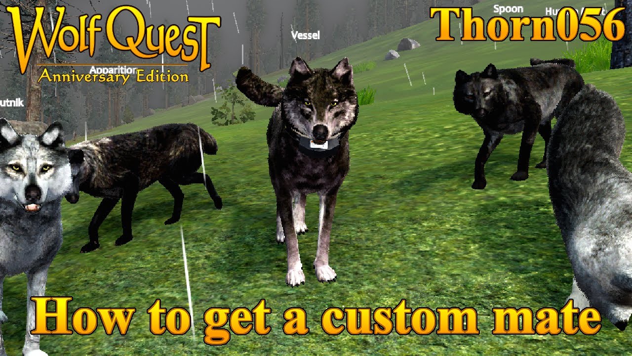 How to get a custom mate (READ DESC) || WolfQuest Anniversary Edition