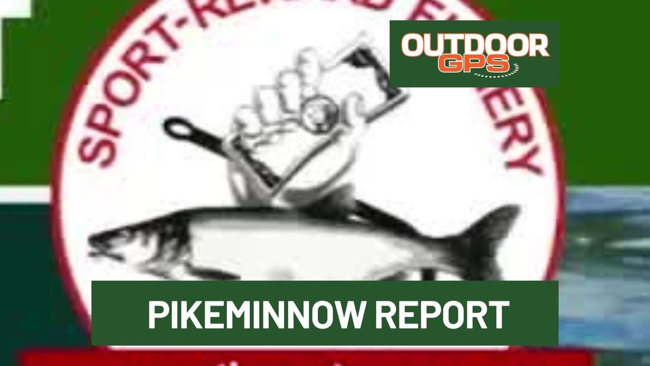 Outdoor GPS от 30.08: отчет по пикминоу