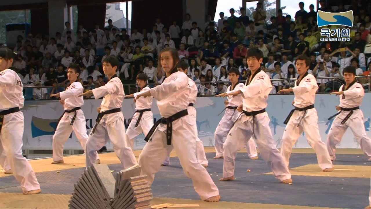 [2012 한마당] 2012 세계태권도한마당 국기원 시범단 개막식 공연