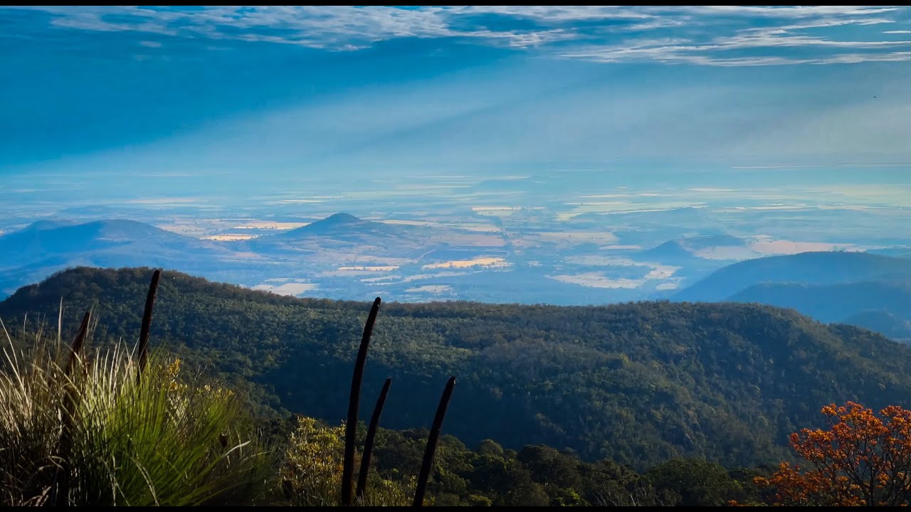 BUNYA MOUNTAINS | Camping in one of Australia's most beautiful National Parks