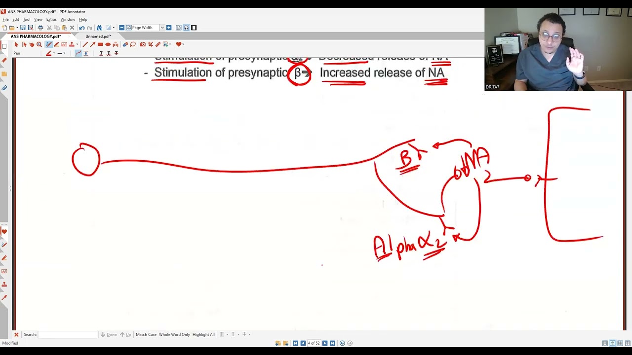 DR.TA7: ANS PHARMA 2 (MED SCHOOL NOT USMLE)