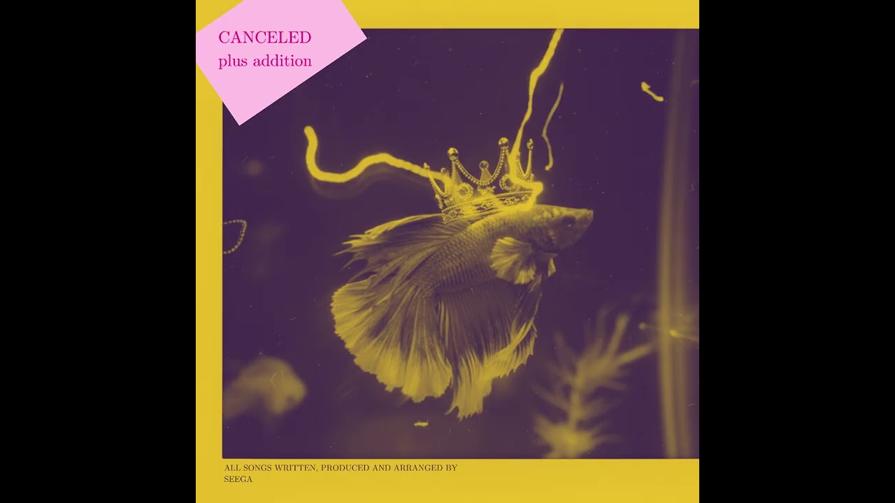 Seega - CANCELED / plus addition