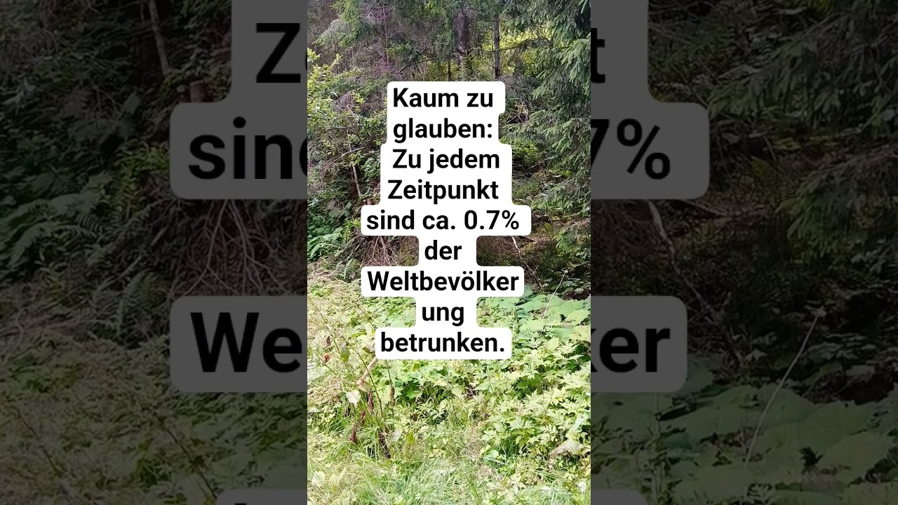 Die Statistiken.... #funny #comedy #funnyvideo #comedy #statistik