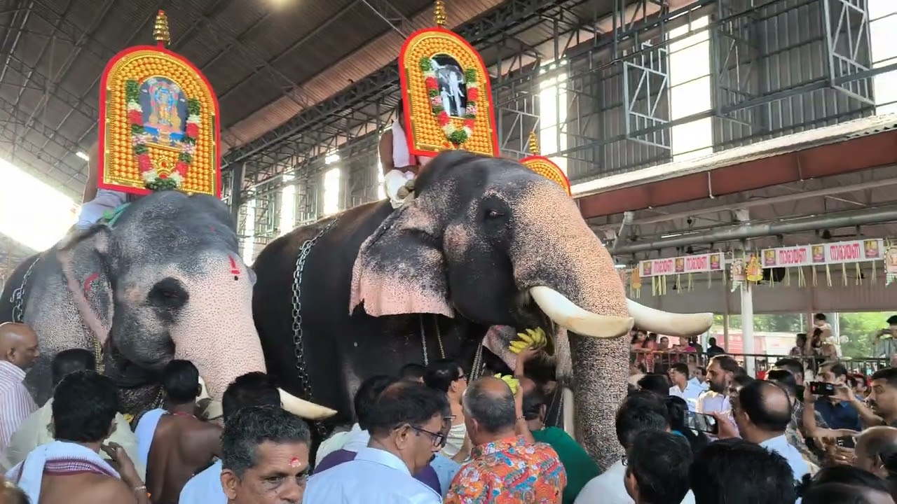 കേശവൻ അനുസ്മരണത്തിനായി ഇന്ദ്രസനും കൂട്ടരും ഗുരുവായൂരമ്പലത്തിലേക്കുള്ള ഘോഷയാത്ര #guruvayoor #elephant