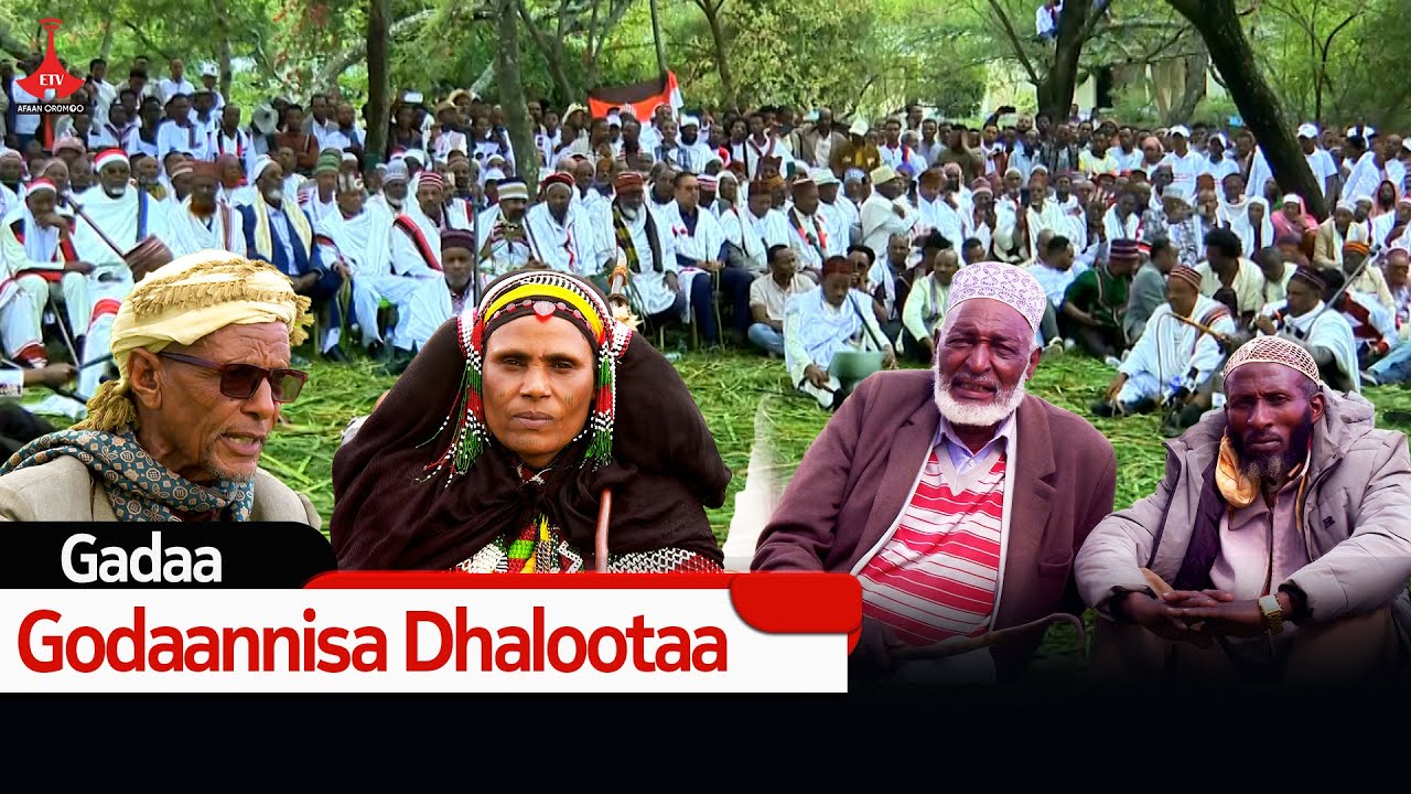 Gadaa -  Godaannisa Dhalootaa etv |Ebc  |Etv Afaan Oromoo| oduu Etv Afaan Oromoo |Ethiopia