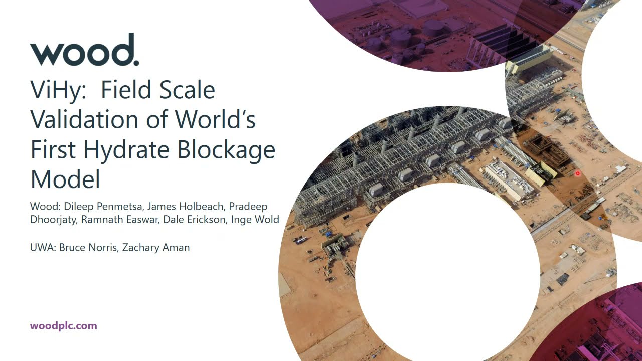 ViHy: Field Scale Validation of World's First Hydrate Blockage Model