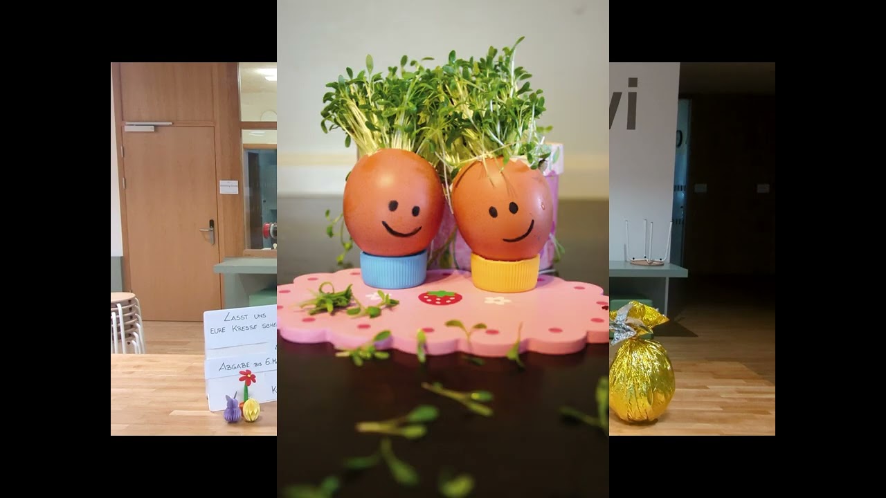 Frühjahrschallenge Aufgabe 1: Lasst uns eure Kresse sehen!