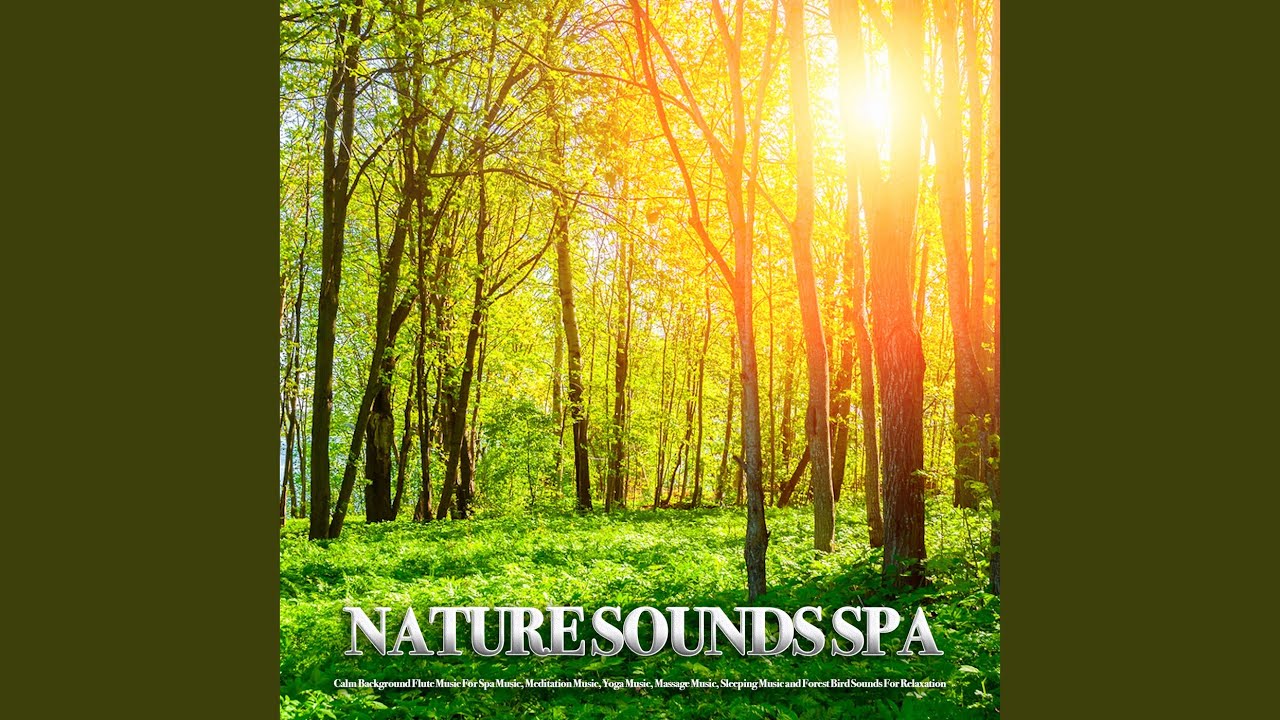 Nature Sounds Spa