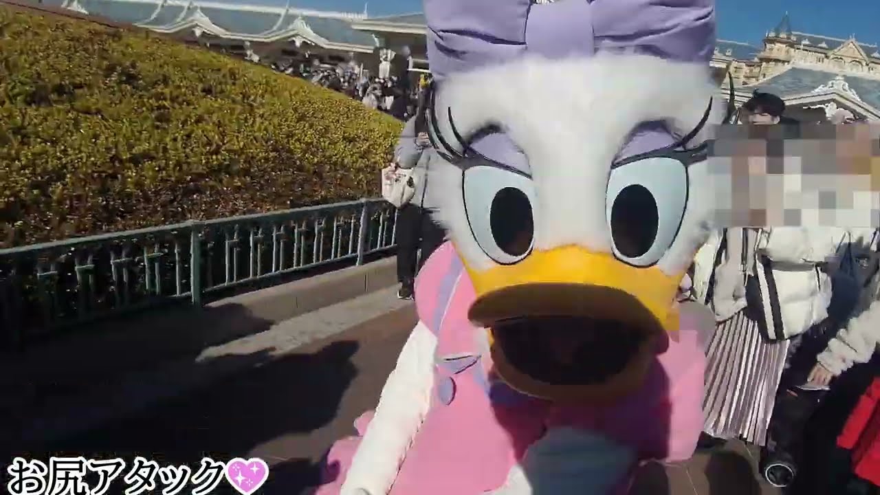 久しぶりに、デイジーちゃん達とご挨拶♪詰め合わせ+おまけ2024年2月