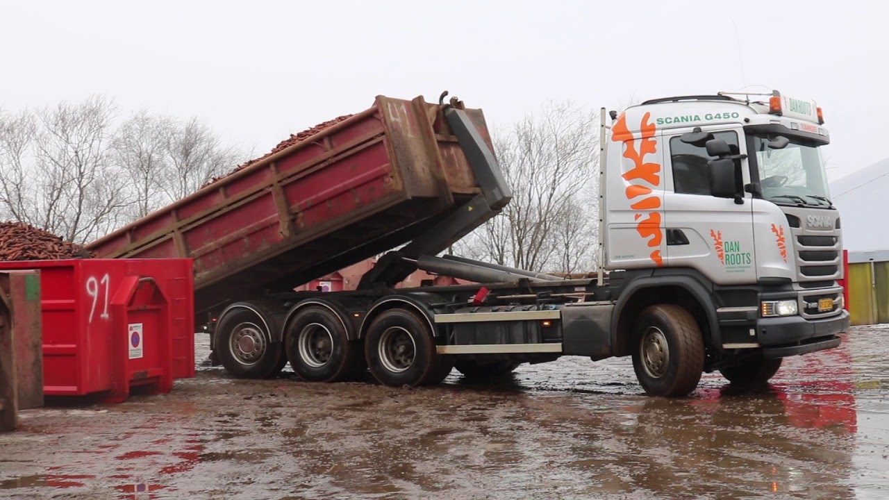Vinter carrot harvest DanRoots