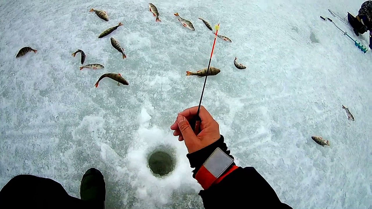 ICE FISHING. Baitless jig. Безмотылка 2016- 17 годов. Приманки, снасти и рыбалка на них.