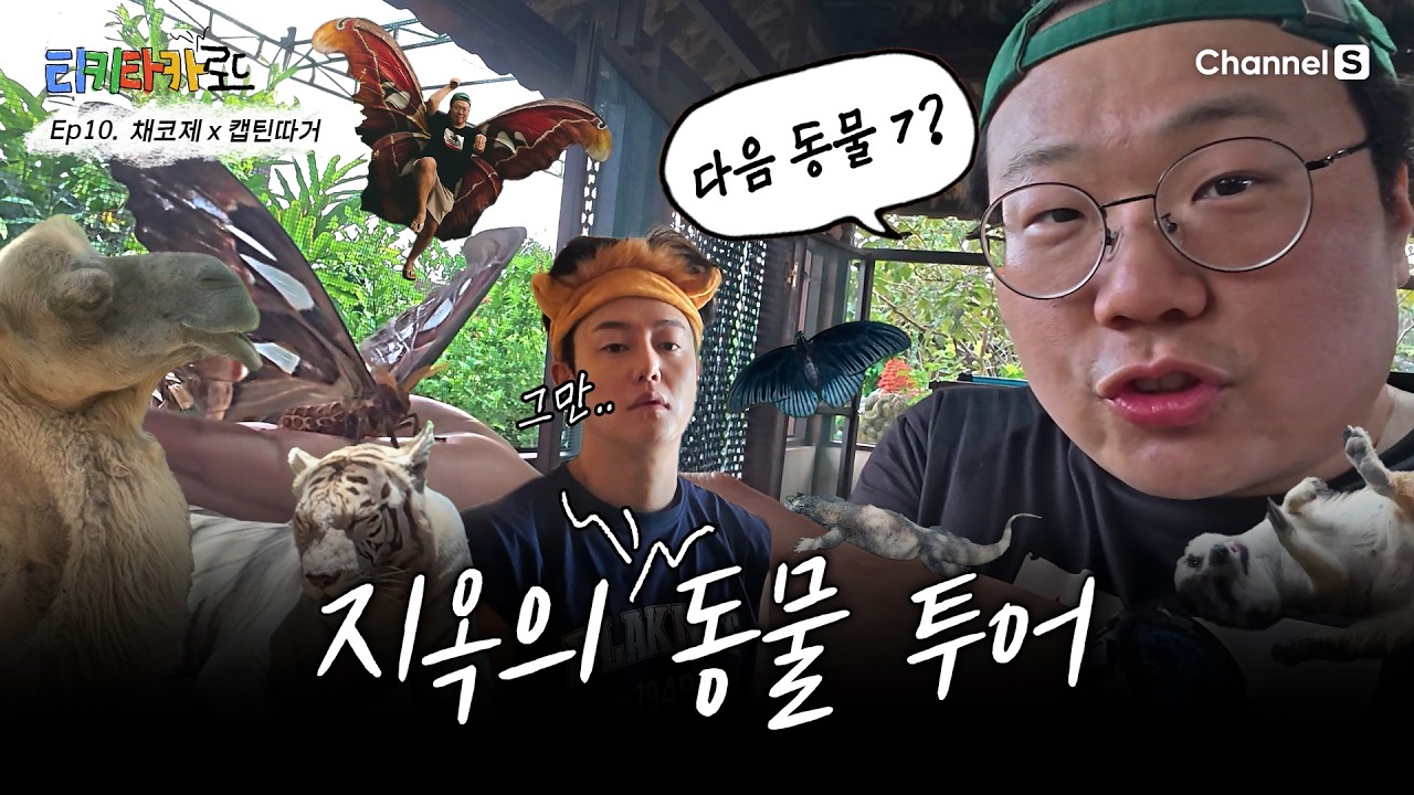 [인도네시아 발리] | '채코제'x'캡틴따거' 