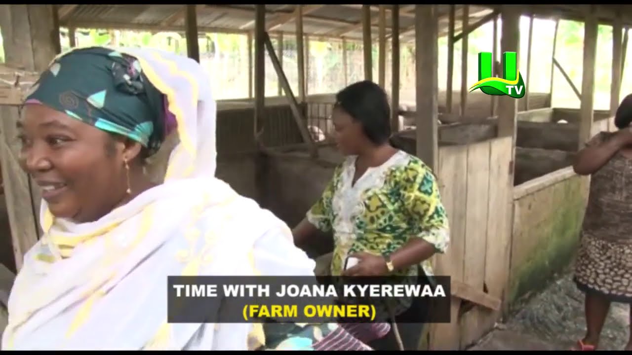 AYEKOO : Time With Joana Kyerewa