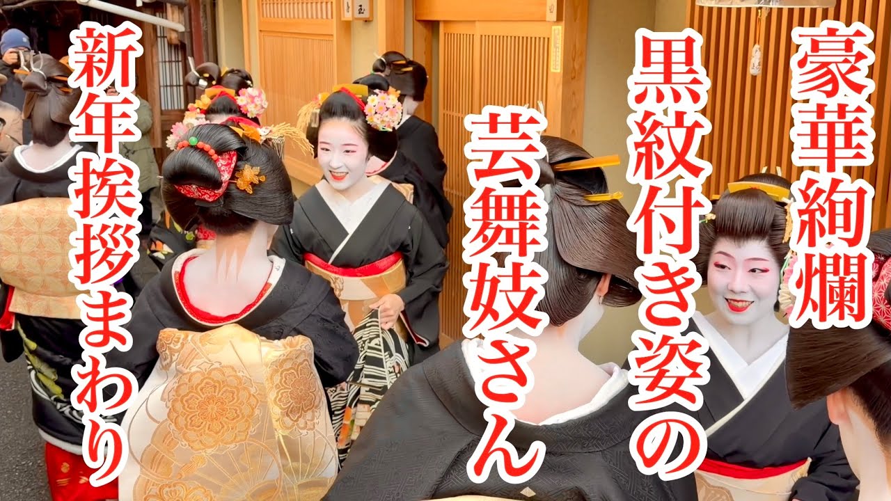 外国人観光客 宮川町で歓喜❗️ 豪華絢爛 黒紋付き姿の芸舞妓さんたちの新年挨拶まわり 2026年1月5日 Geisha and maiko in Miyagawacho