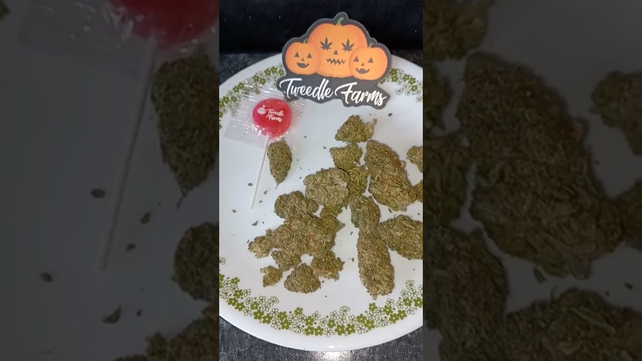Tweedle Farms Citrus Berri hemp flower (is it good?) this isn't fair guys