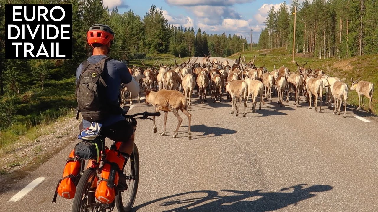 I Found Ryan Van Duzer in the Swedish forest, and joined him on a bikepacking adventure