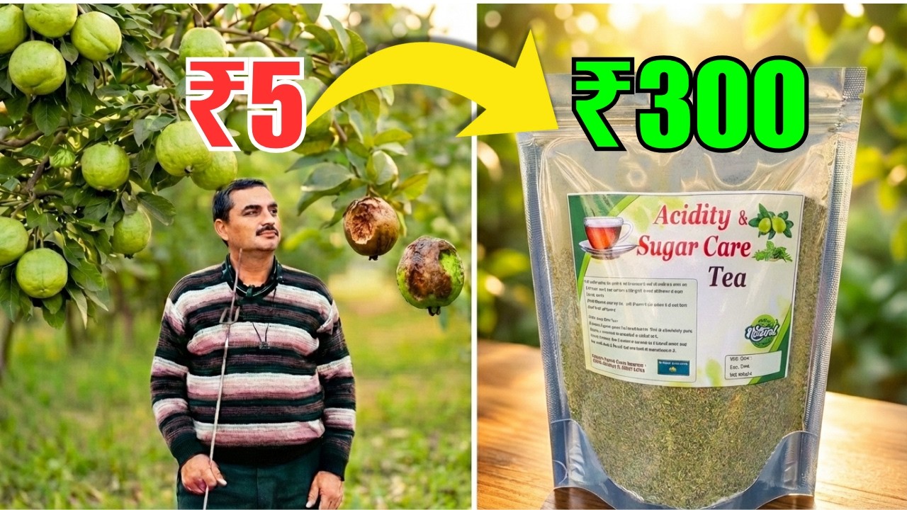 ₹5 k Amrud me loss Se ₹300 ki Chai me Profit tak! ☕ | Guava Farming me value addition Sikhe|