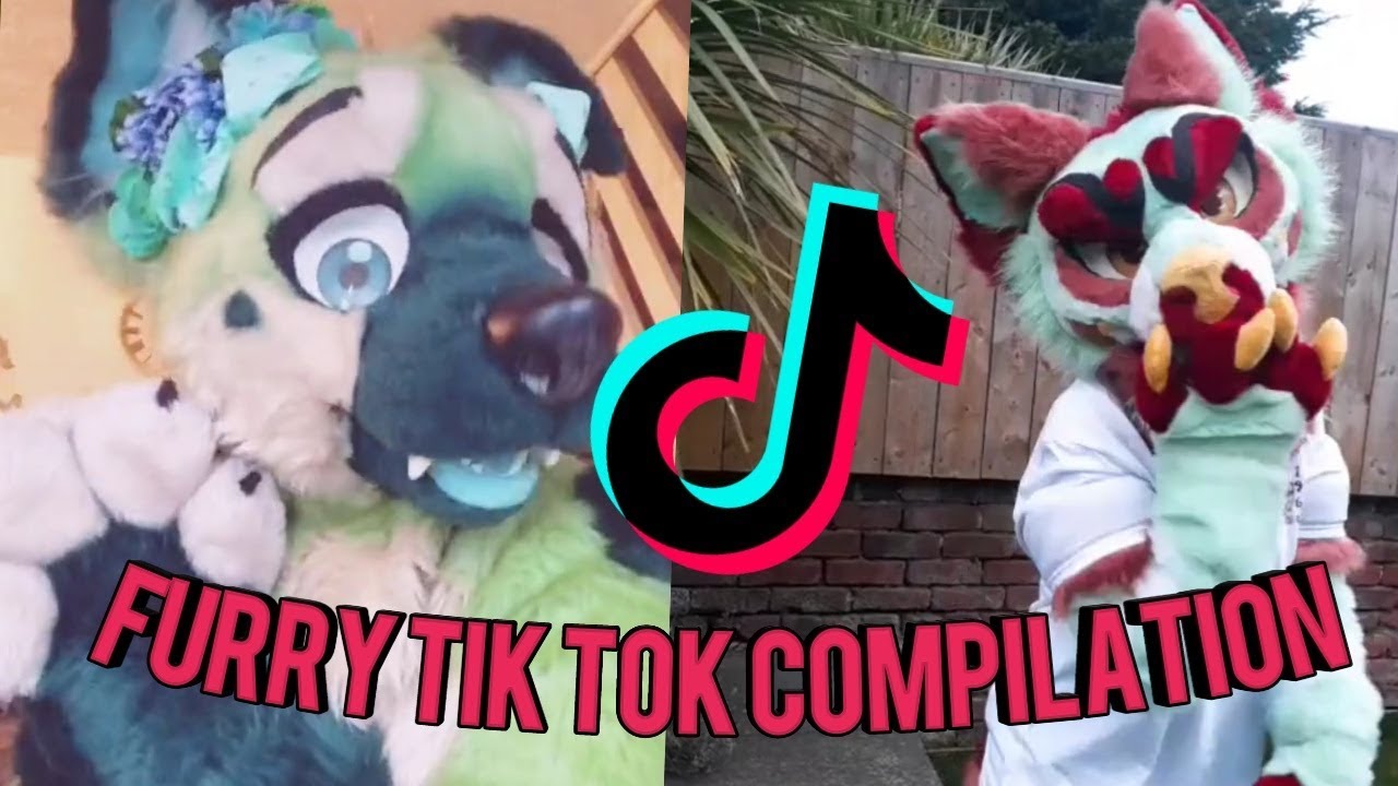 Furry Tik Tok Compilation