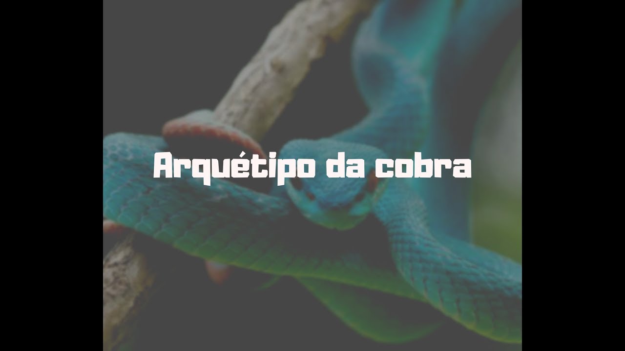 Arquétipo da cobra