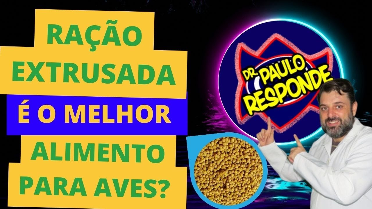 RAÇÃO EXTRUSADA É O MELHOR ALIMENTO PARA AVES? Dr PAULO RESPONDE!