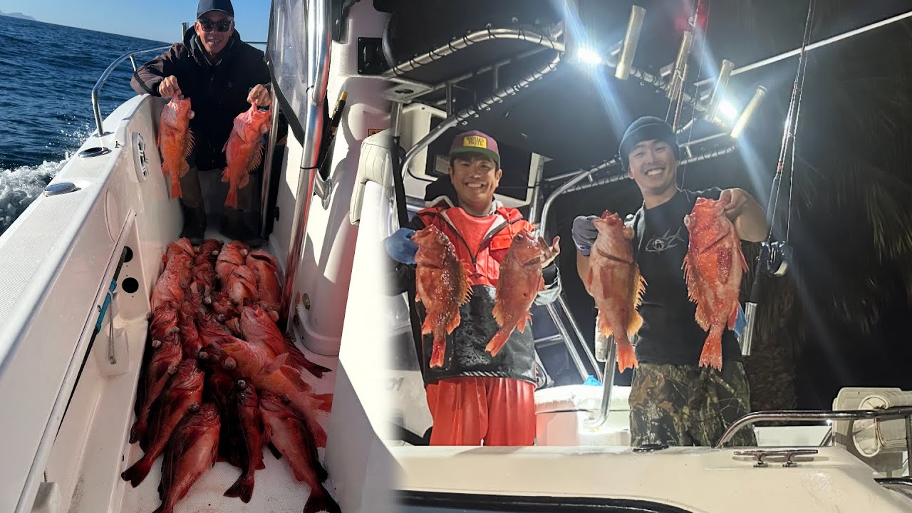 Ba chú cháu đi câu và bắt tôm thật là tuyệt vời | Three of us catching fish and lobster