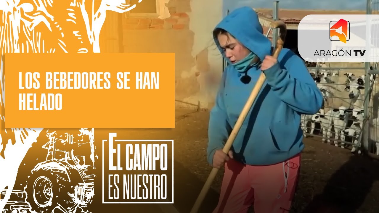El frío hiela los bebederos