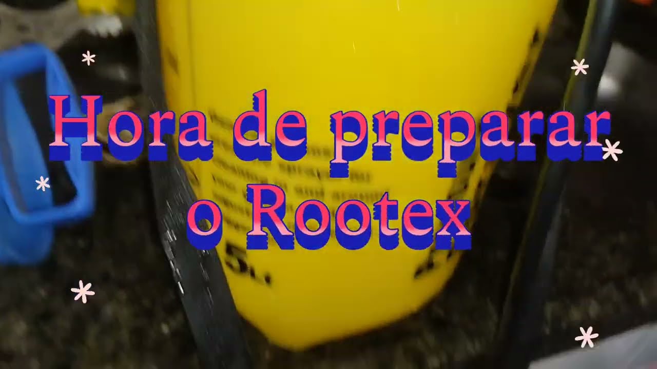 👉🏻Mudança Simples, Lugar Certo: Protegendo Suculentas do Calor Excessivo
