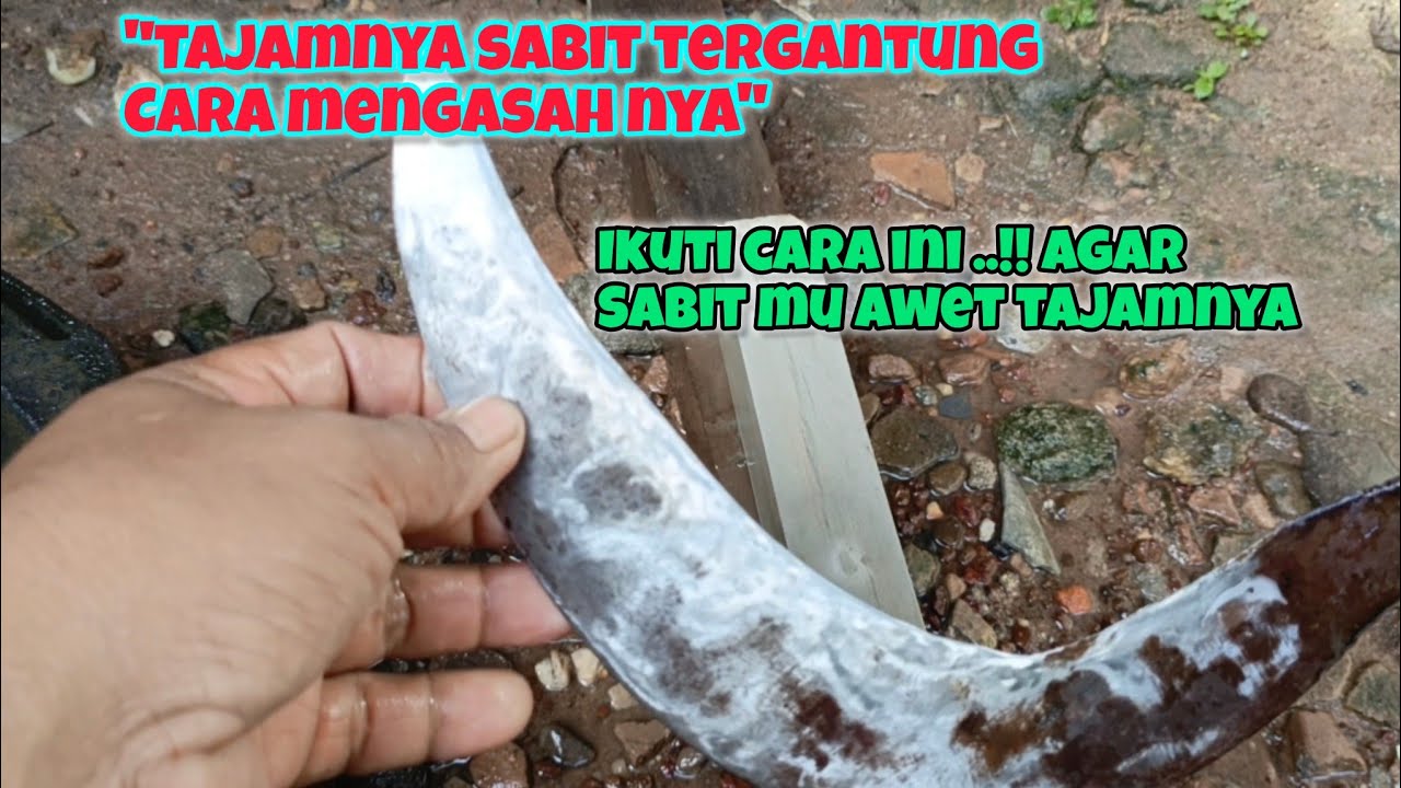 CARA MENGASAH SABIT BIAR TAJAM SETAJAM SILET