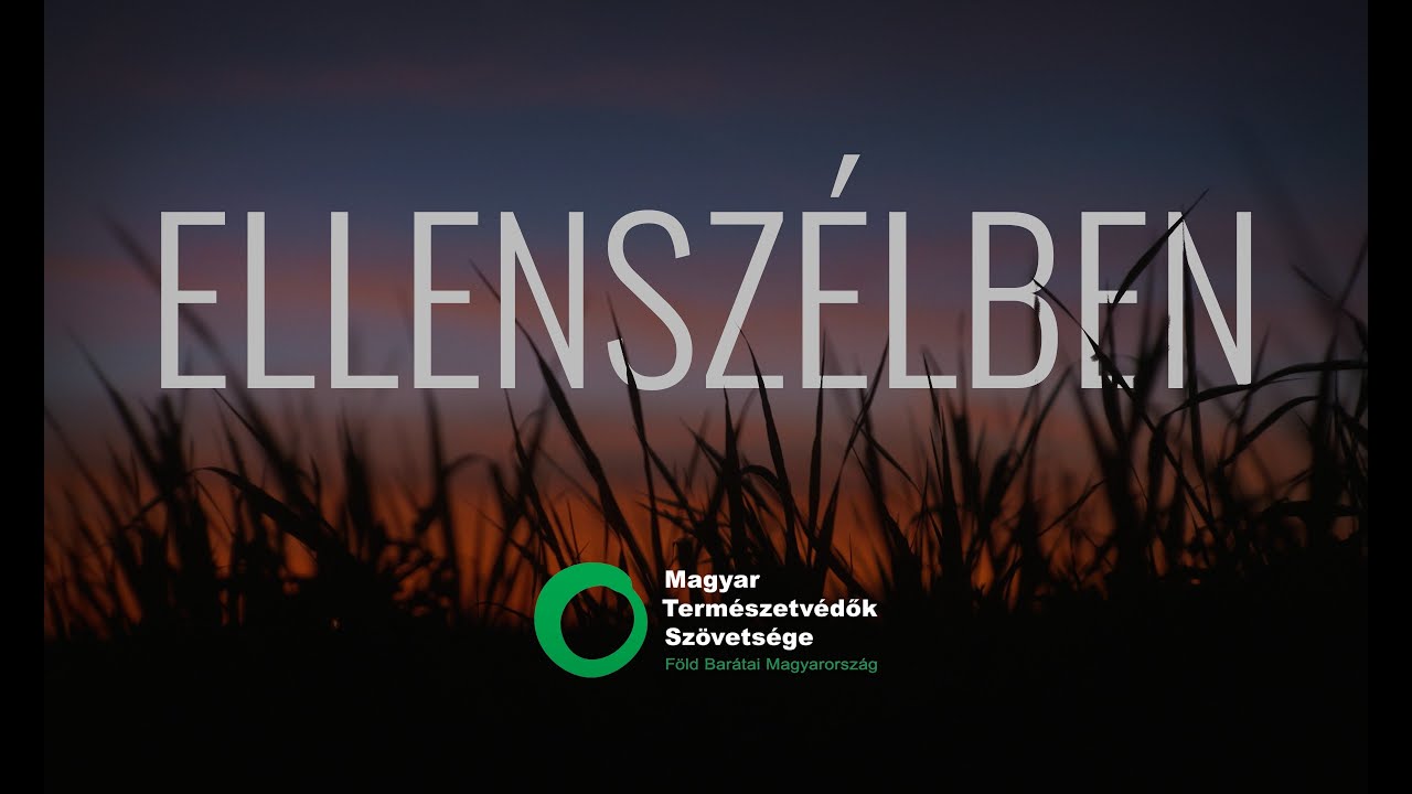 Ellenszélben: Kisbér a bűz fogságában / MTVSZ kisfilm