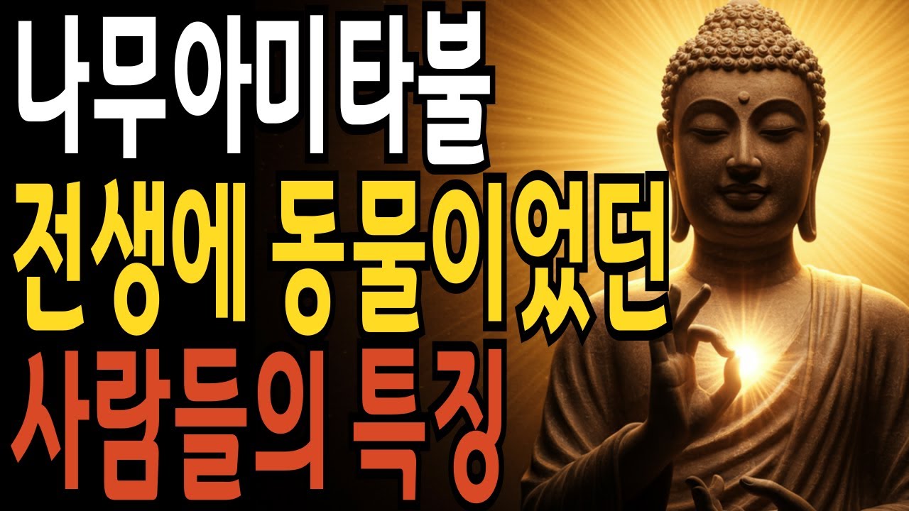 전생에 동물이었던 사람, 이런 습성이 남아 있습니다 | 불교 말씀 | 법문 라디오 | 명상 이야기