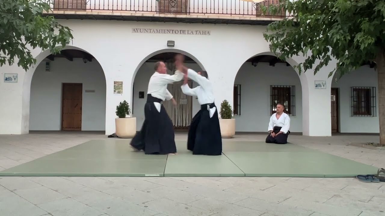 Guillermo Balderas. 5 º dan aikido aikikai. Pitres (La Taha). 2024