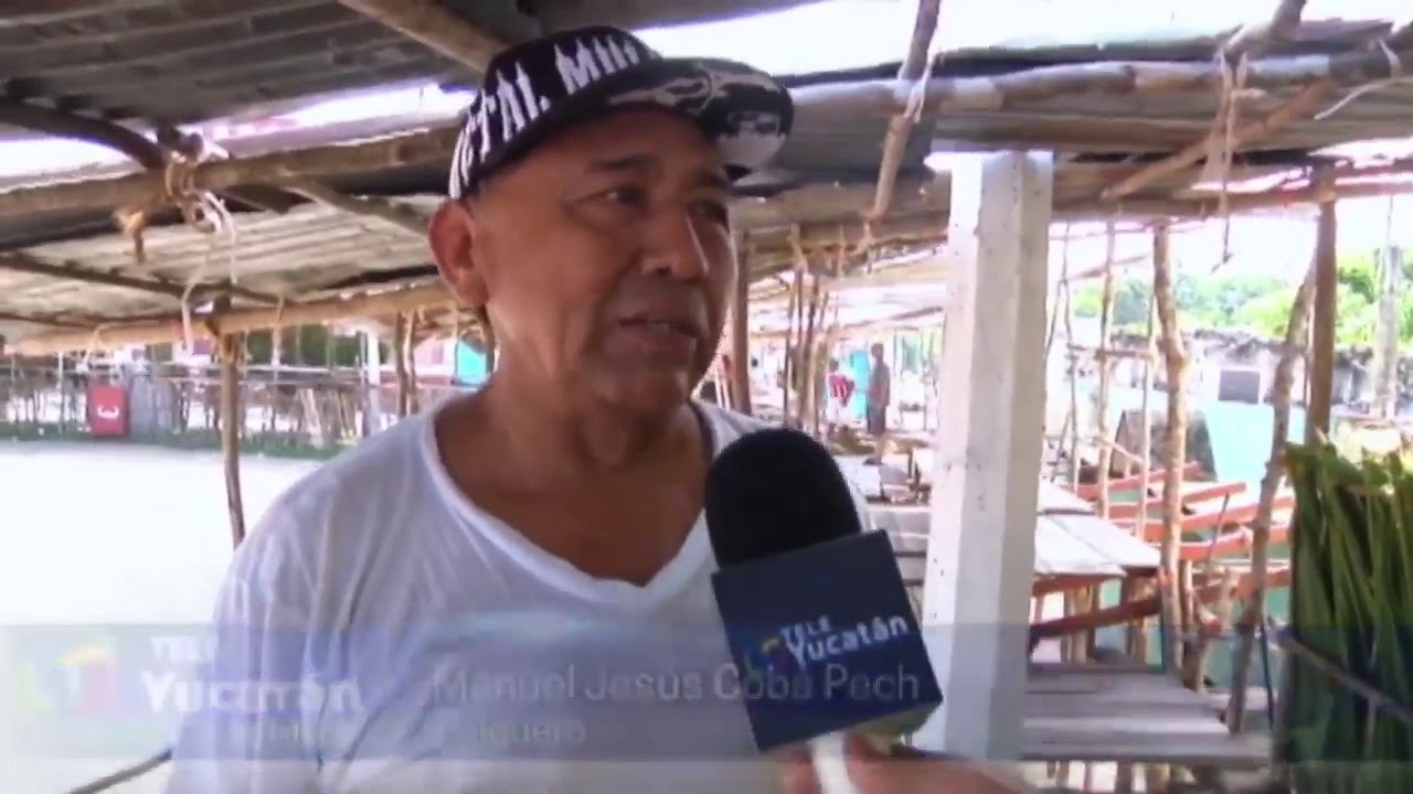 #Ciudadanía I ¿Usted sabe como se elabora un tablado? | Tele Yucatán