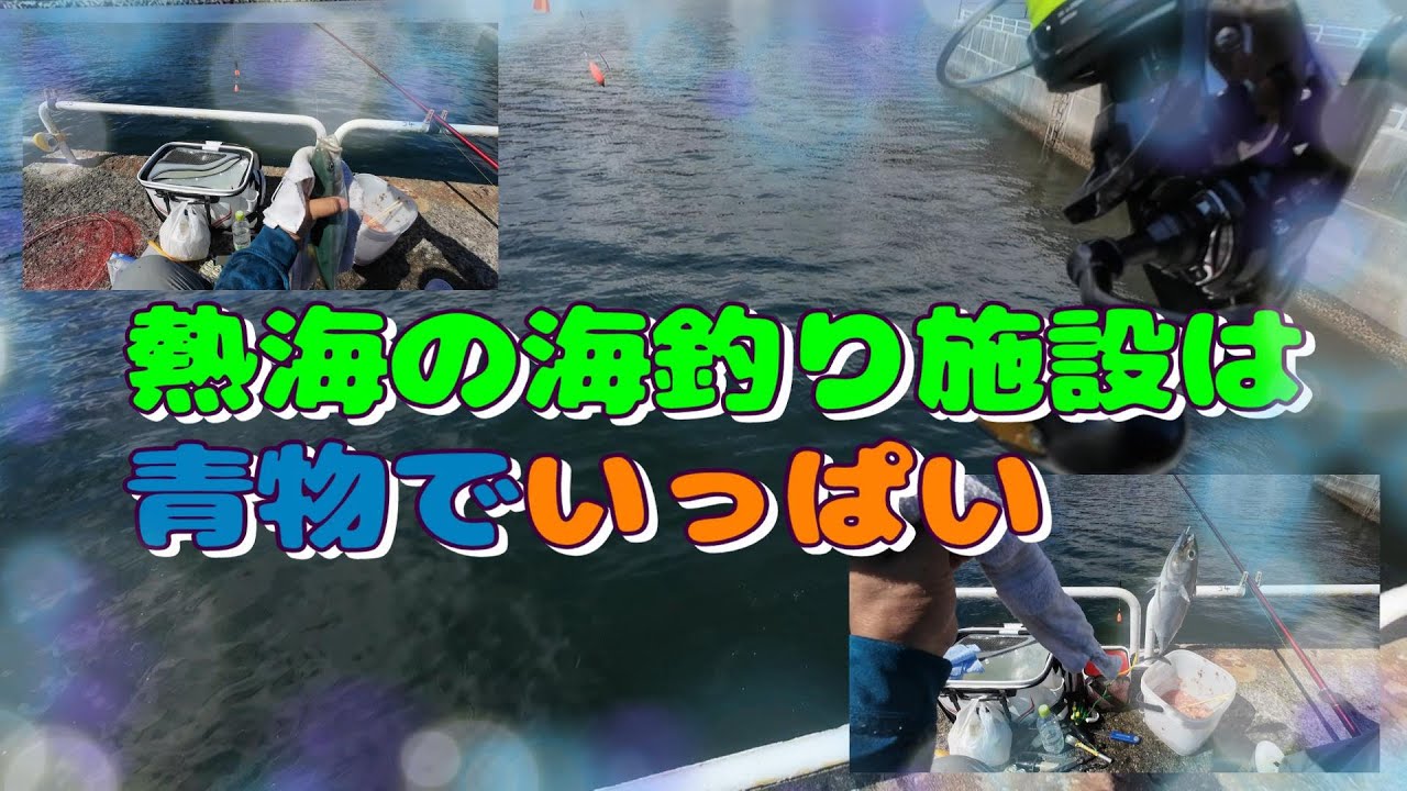 熱海港海釣り施設で青物狙ったら凄かった