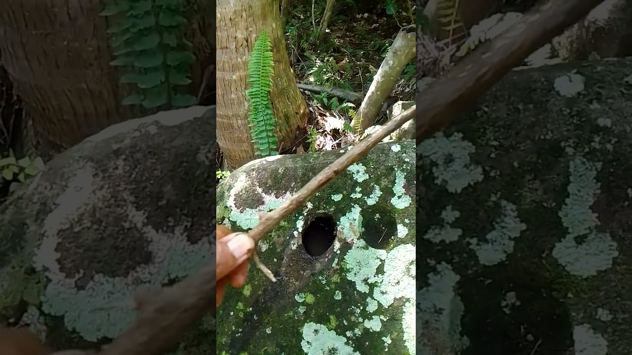 PART1 A SHARP STONE POINTS OUT WHERE YAMASHITA'S TREASURES IS HIDDEN