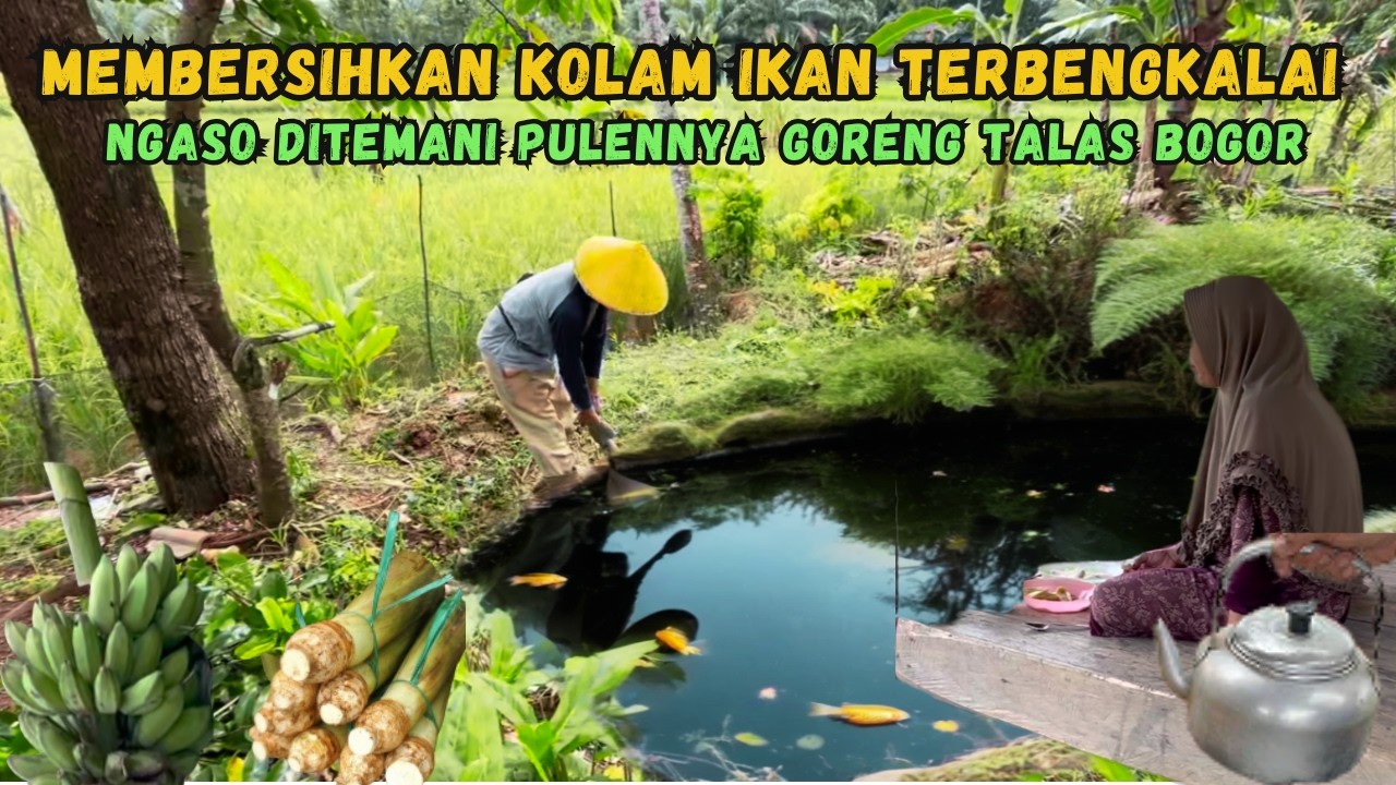 Membersihkan Kolam Ikan Terbengkalai.... Ngaso ditemani Goreng Talas Pulen dan Pisang Kepok Renyah