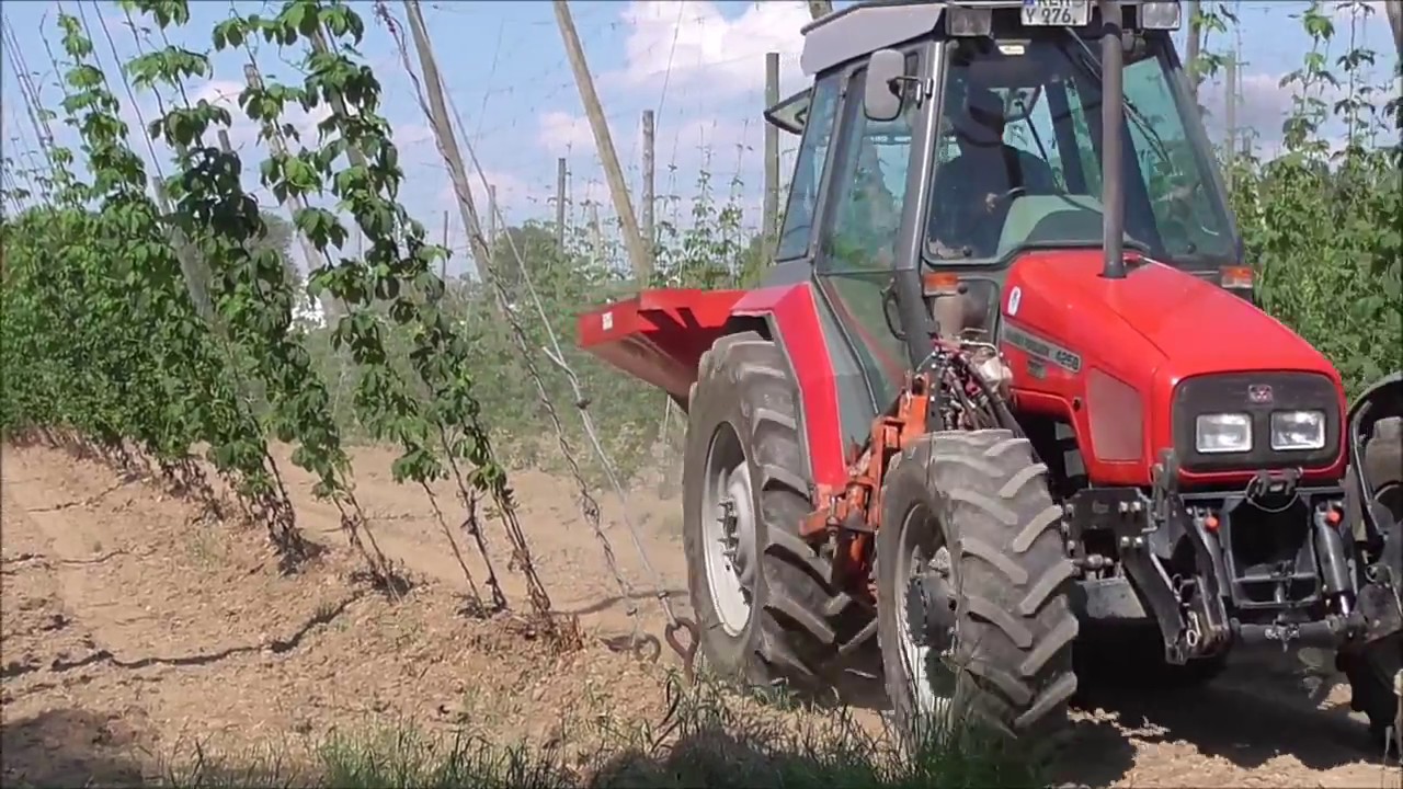 D&uuml;ngerstreuen im Hopfen mit MF 4255 |2K17|