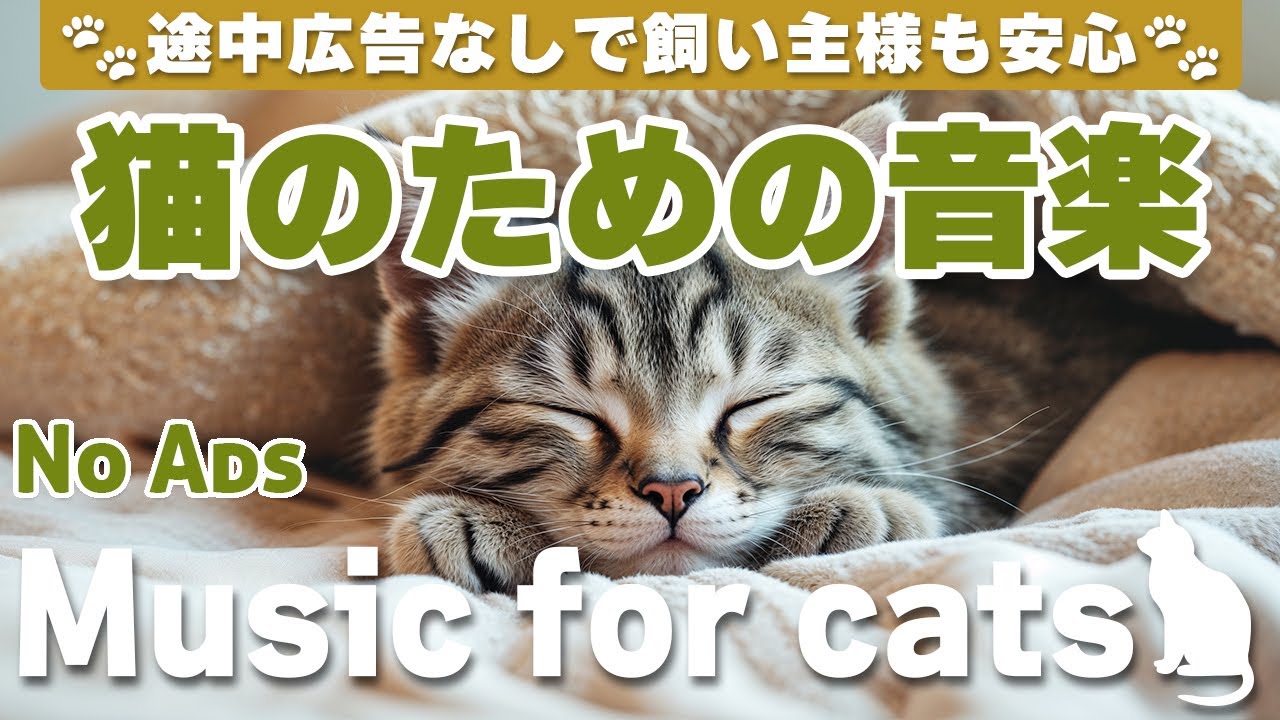 猫が落ち着く音楽/途中広告なしで安心/リラックス/12時間/cat relaxing music/No Ads/12 hours/Relaxing music for cats_vol.314