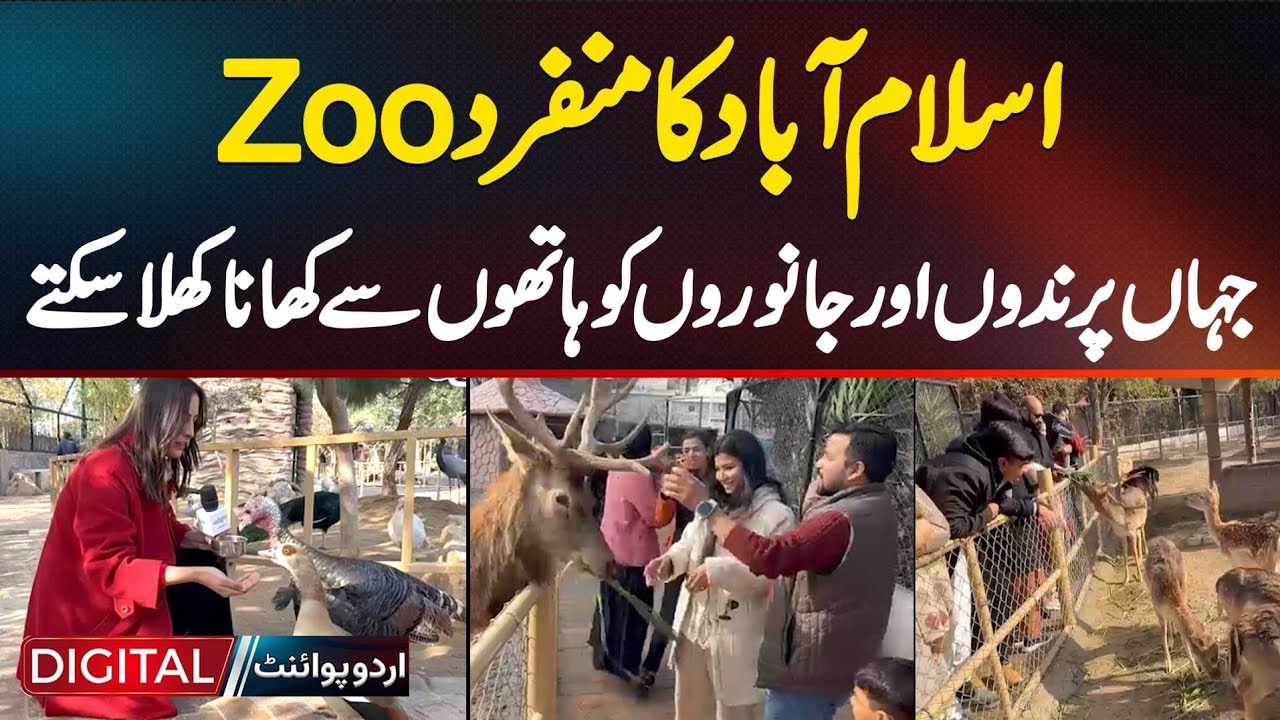 Islamabad’s Unique Interactive Zoo | Feed Birds And Animals By Hand | Multi Gardens Zoo