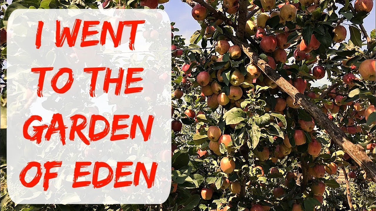 GARDEN AND BACKYARD TOUR OF A TYPICAL BULGARIAN BACKYARD - GARDEN OF EDEN