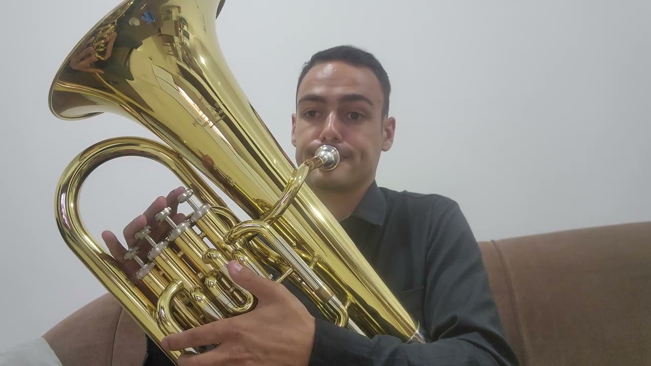 Hino 398 euphonium (Bombardino) Michael wepm454n no baixo natural 