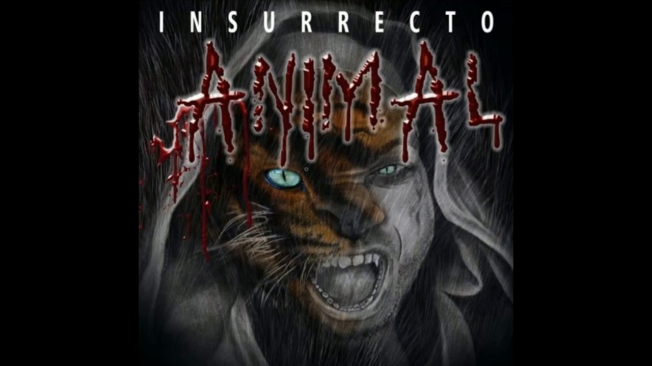 Insurrecto Accion HQ MP3