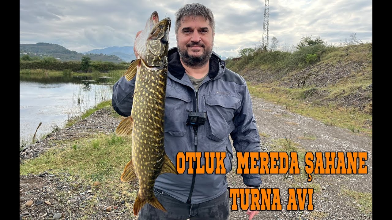 Yağmur Eşliğinde Turnaları Otların İçinden Çıkarttık / Otluk Merada Şahane Bir Turna Avı