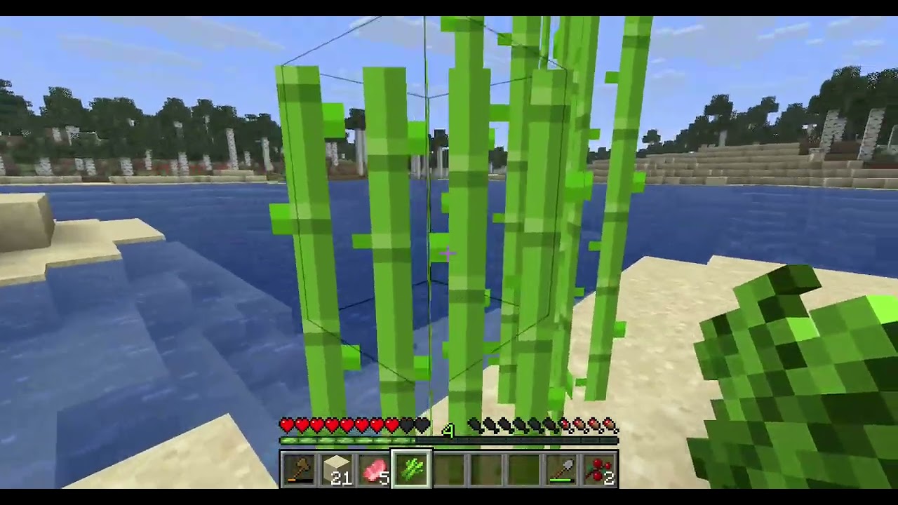 Minecraft Lets Play Part 2