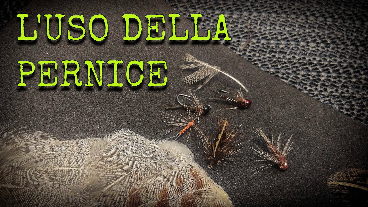 L'uso della pernice