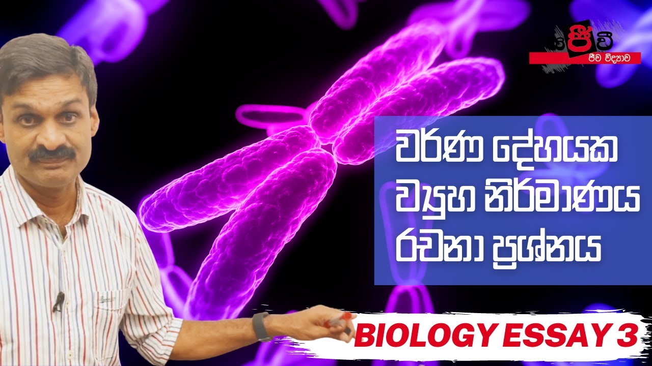 A/L Biology Essay & Marking - DNA ඇසිරීම හා වර්ණදේහවල ව්‍යුහ නිර්මාණය - රචනා ප්‍රශ්න සහ පිළිතුර 3