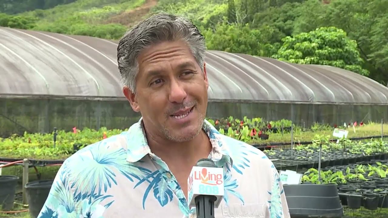 Living808 Native Hawaiian Plant Initiative pt 2